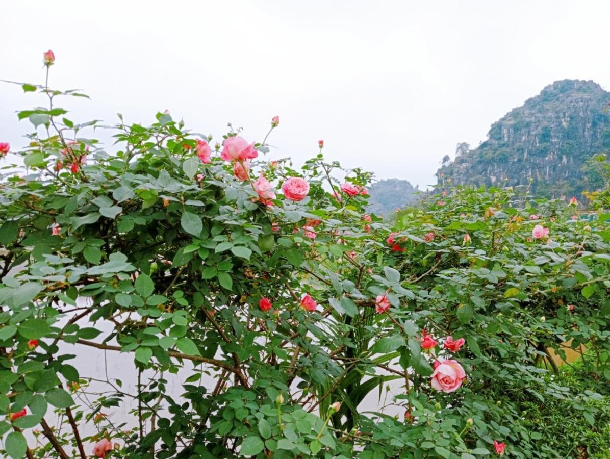 Ninh Binh Green Farmstay La Phu  Екстер'єр фото