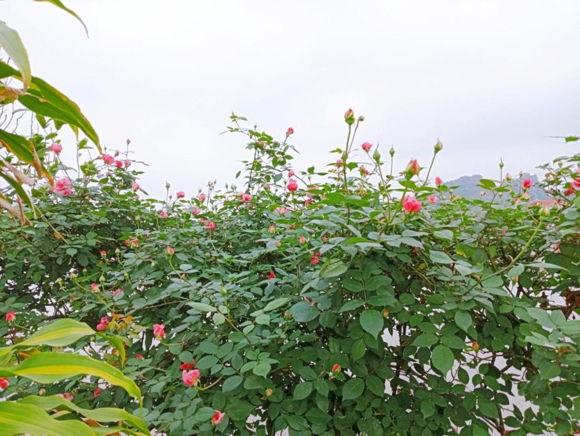 Ninh Binh Green Farmstay La Phu  Екстер'єр фото
