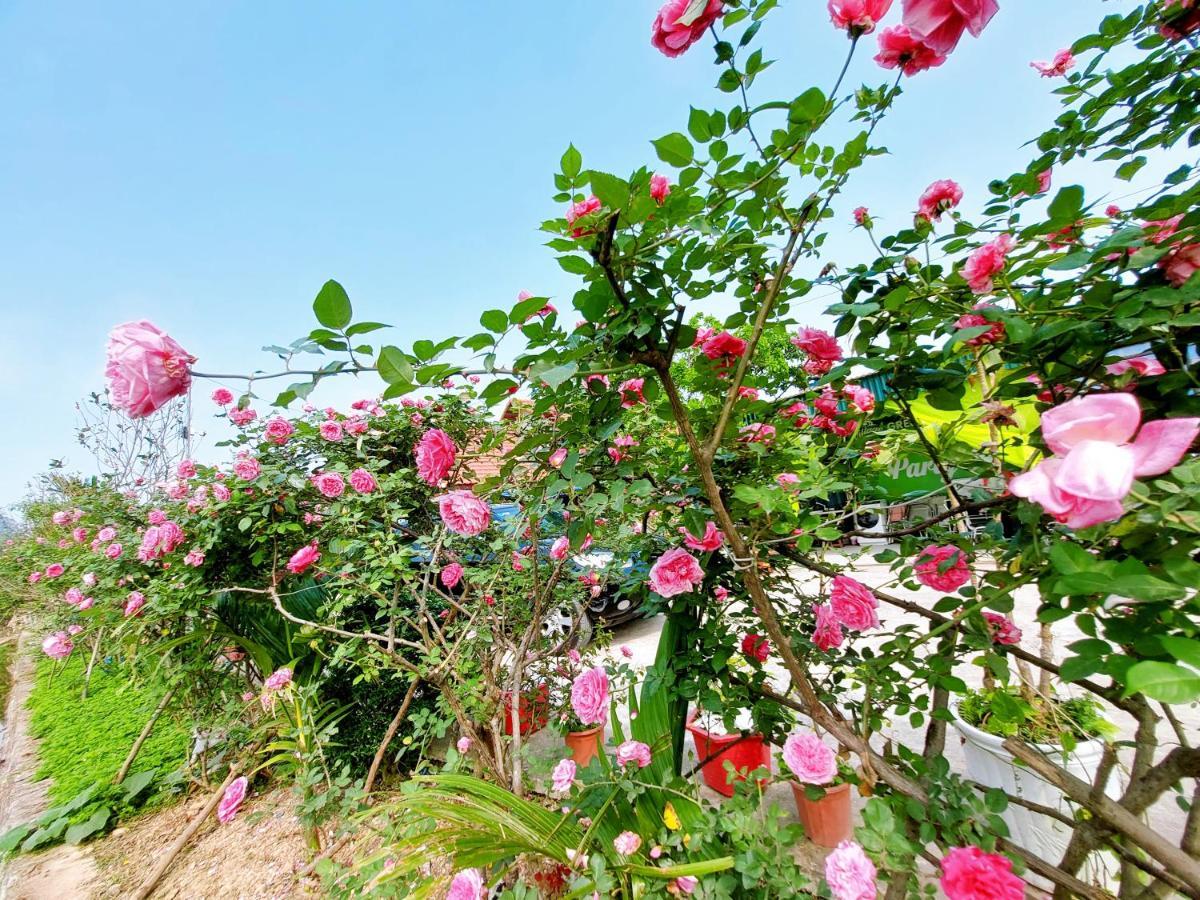 Ninh Binh Green Farmstay La Phu  Екстер'єр фото