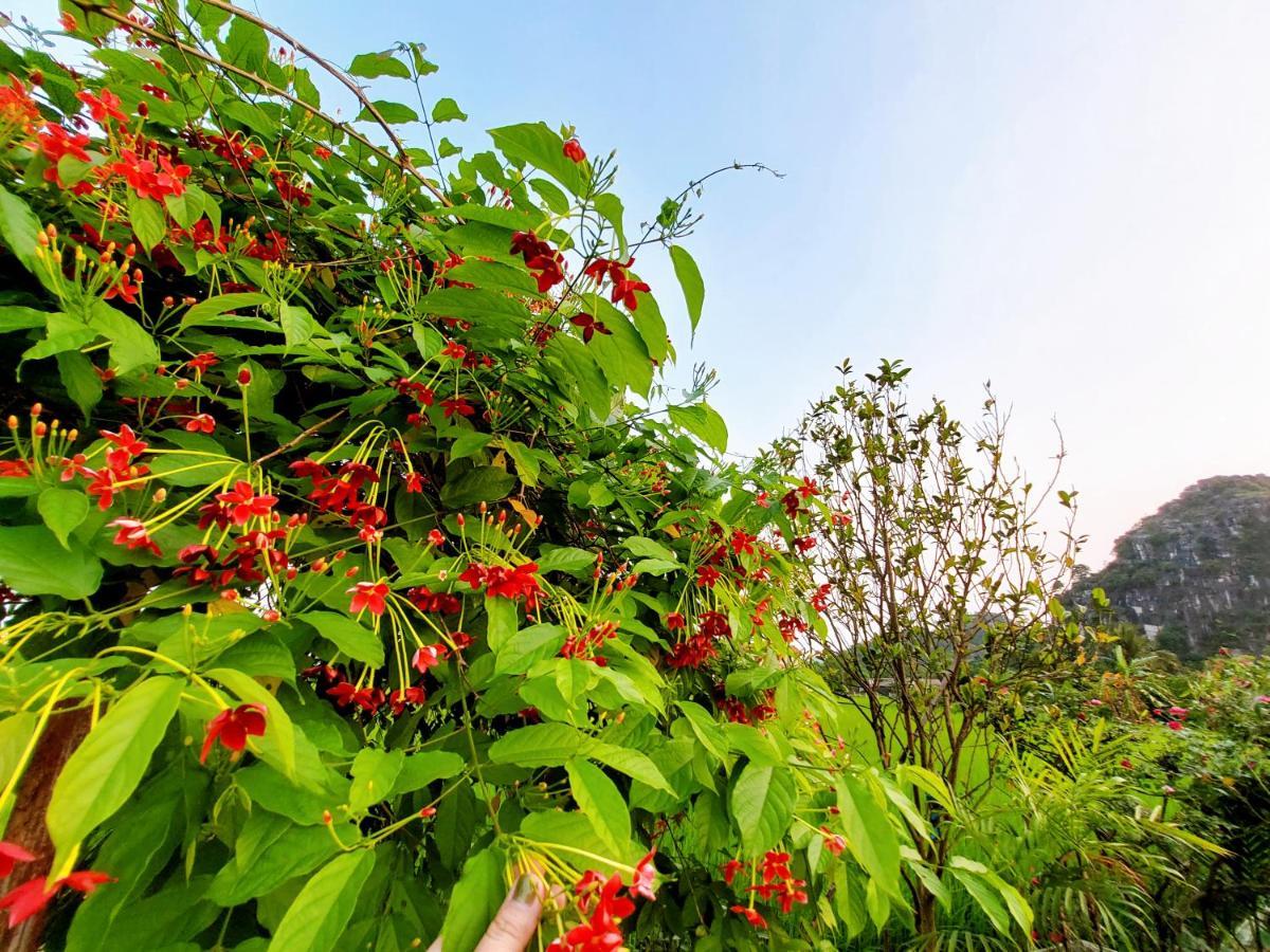 Ninh Binh Green Farmstay La Phu  Екстер'єр фото